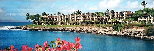 Photo of Napili Point Resort, Maui Hawaii